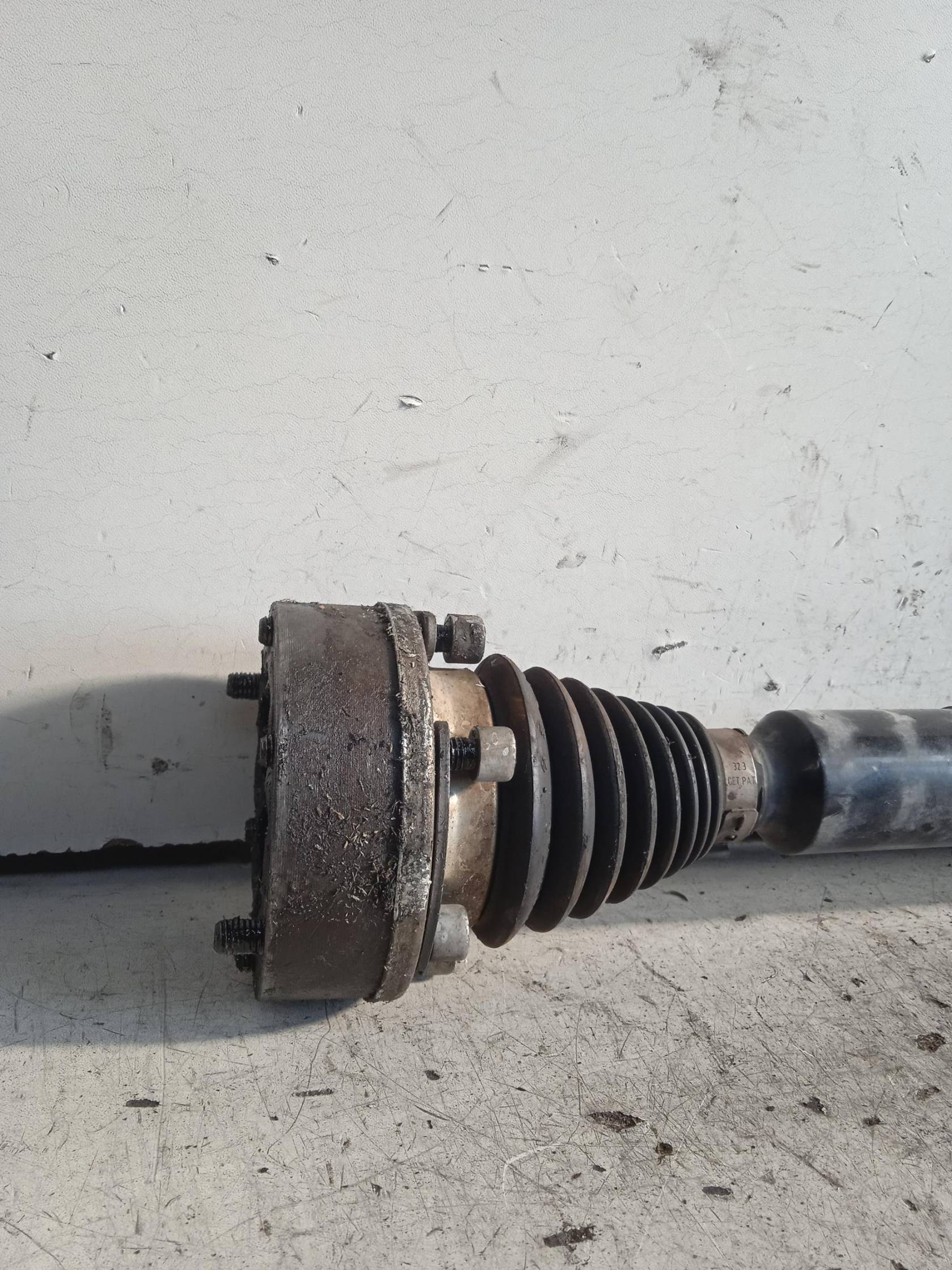 Semialbero ant. compl. dx.